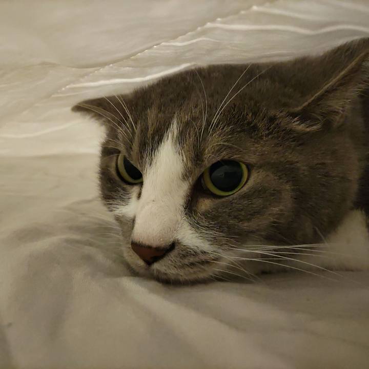 Ae4488dd 420f 44ed ad72 ab913d6b4ca6 1721997462777