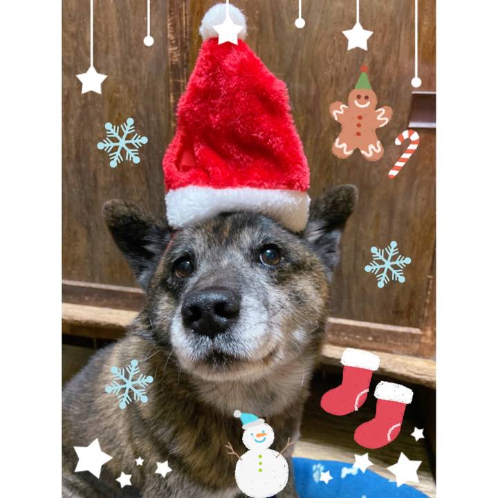 Ae44d439 7f28 4719 b295 79e94fd4bc93 1640338859387