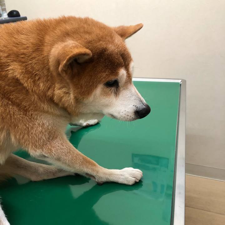 Ae44e3fa 1c1f 49fd b2ea 811ace0bff32 1608338378178