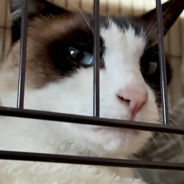 Ae450f1c 092b 4706 aaec ecf03077d18d 1745920239333