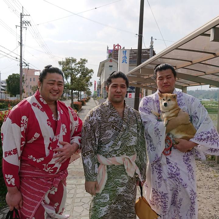 Ae4516ed ddae 491d b47b 6edfb70d93c7 1774161951516