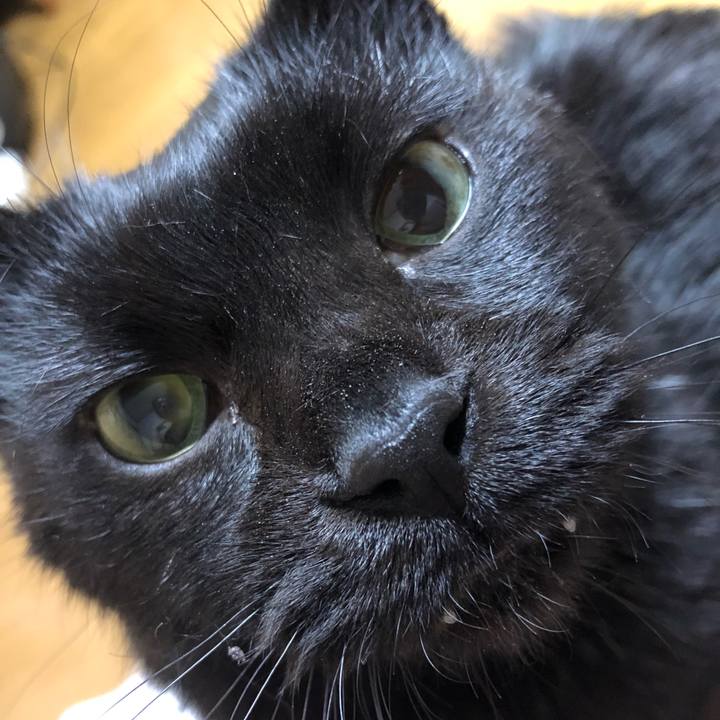 Ae4536d4 1917 4e11 b694 ae7f64aae190 1612002733104