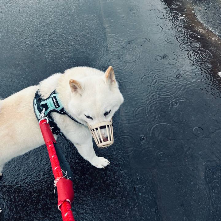 Ae457a1c d31d 4f50 a8bd 43330a0bd1cc 1696458446408