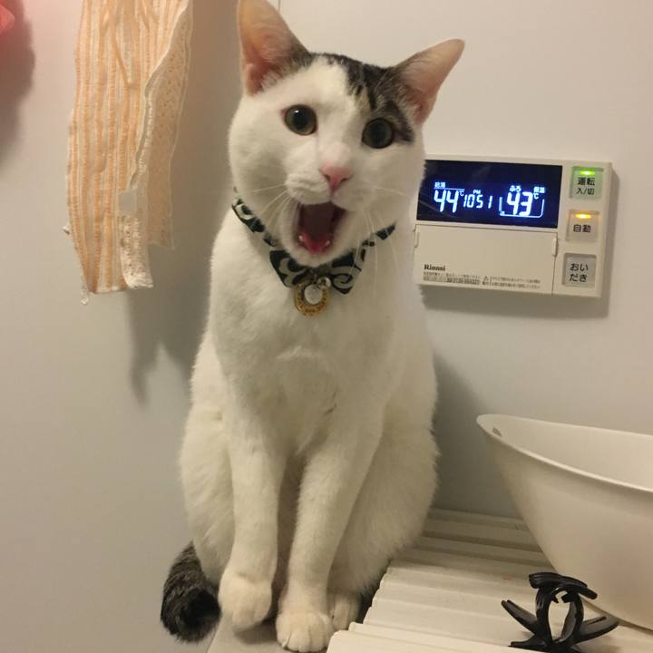 Ae4598b0 6ee2 41c5 870a c1c58afe787b 1511787131572