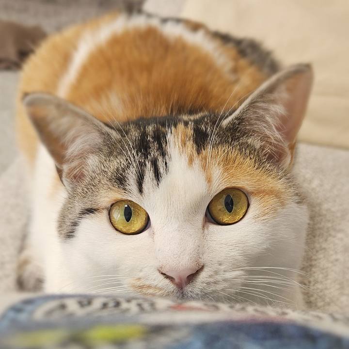 Ae45c08f 663f 4b0a 8921 1982f5fbd8e3 1773028392465