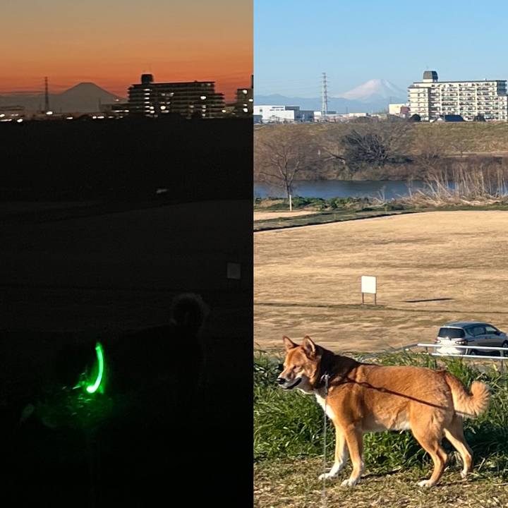 Ae46031b 06e7 4318 9828 85eee8dd8953 1737208912119