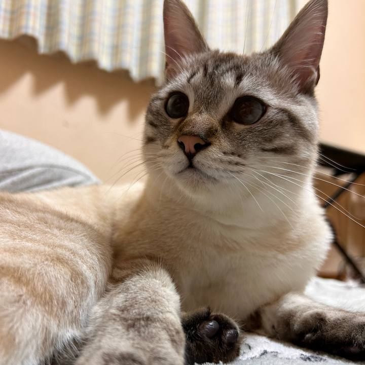 Ae4623f9 c179 4d2a b8fc 96b1e311de1f 1745850010485