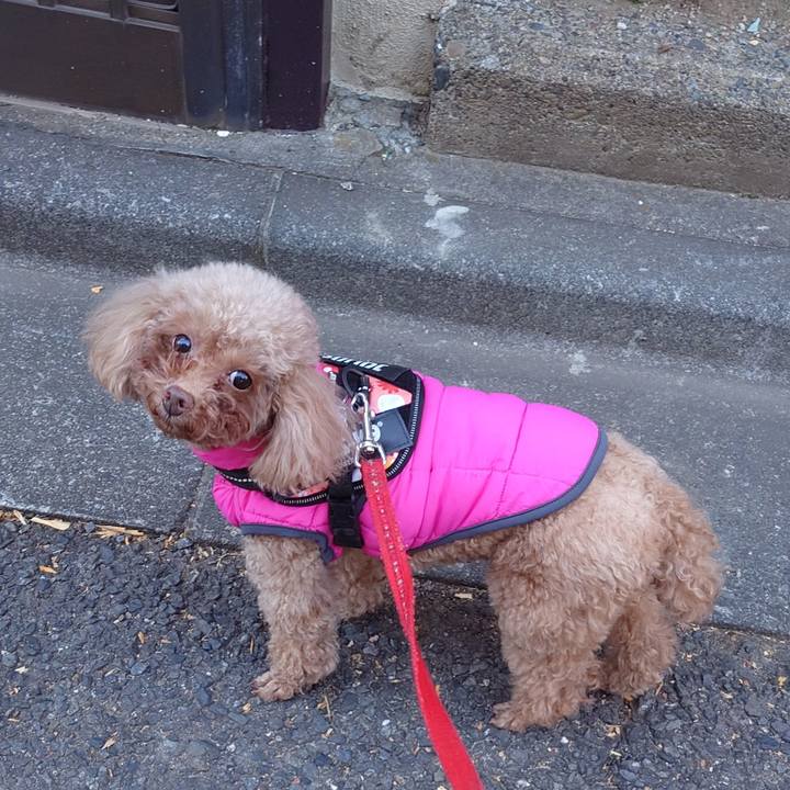 Ae464d26 de76 4001 aaf1 b5ccf01c064d 1735953030268