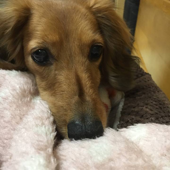 Ae465880 1e0f 4545 9812 7878aee000d7 1519548776992