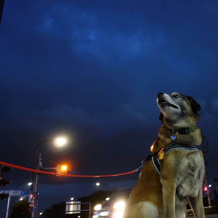 Ae46c50e 188a 4f18 bba8 68fd904f7cf6 1637542868720