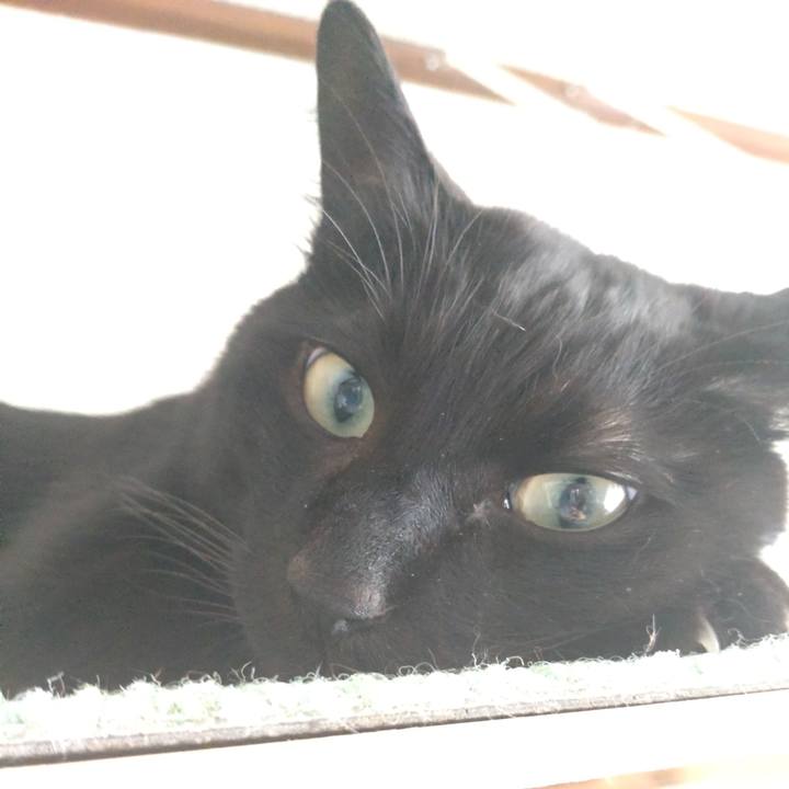 Ae46d21e f63b 4ddc af3f 5b92942a79f9 1672624145552