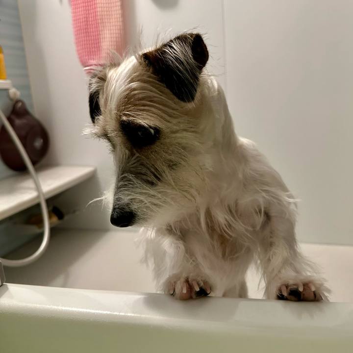 Ae46dbed e76a 4f08 924c d07df4110184 1704639398941