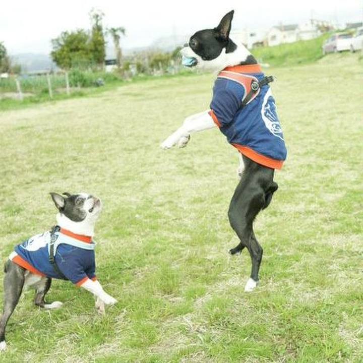 Ae46e3cc 1400 4bb4 b26c 6c2443cc5feb 1553432688663