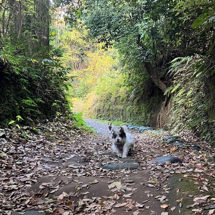 Ae46f671 2d34 479d a68a 3614f909e4c6 1763961360556