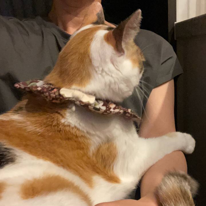 Ae46f674 3749 4b31 b0df e20b46cc60df 1752071650426