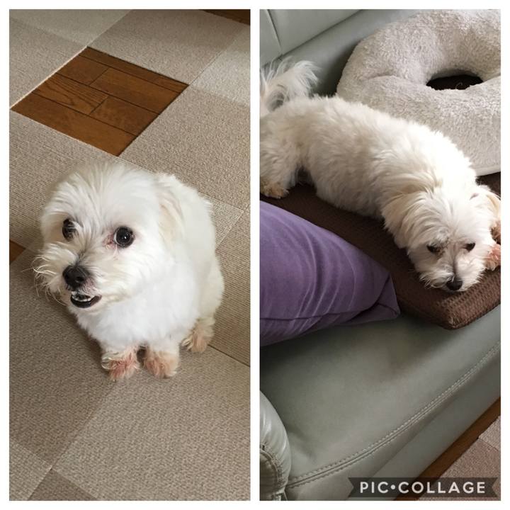 Ae47082e e222 47b5 9646 222a947bd998 1568766536572