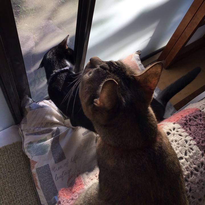 Ae4710bb fa93 48a1 851b 672587c19466 1638407948987