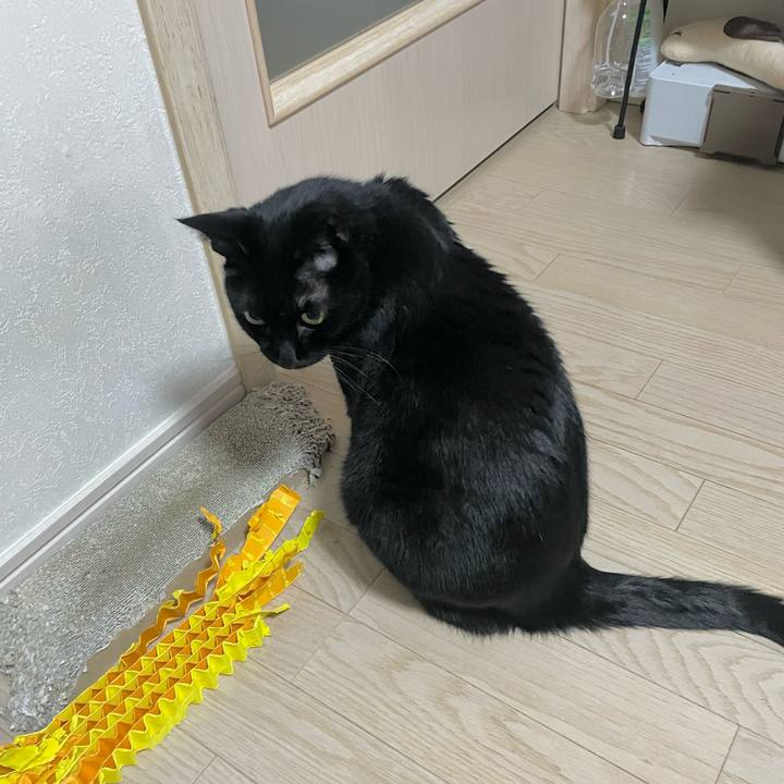 Ae4718b1 3619 41f4 876d c510775f3d37 1712663940693