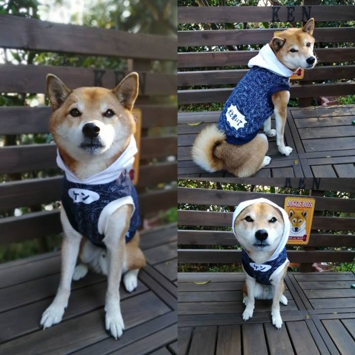 Ae472978 5638 42f6 8f77 3dec6555f6b0 1639375735086