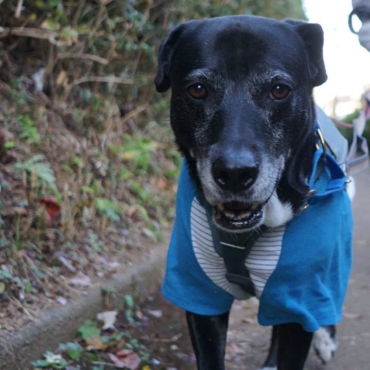 Ae472ebb 5d22 40dd 9868 f910c1927828 1763942966672