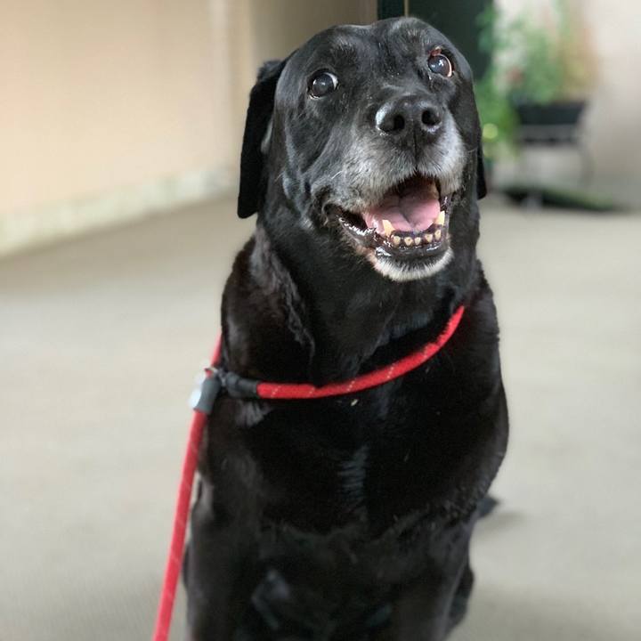 Ae4730be 1a69 473d 9851 de2ba911efbc 1558438985578