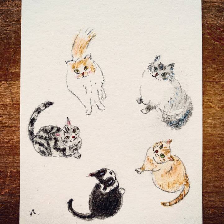 Ae4740f5 4e8f 41e2 a719 64e277000251 1612055479110