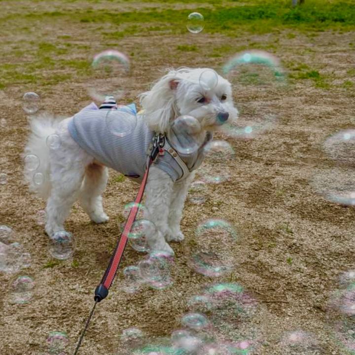 Ae474e49 d9e0 4ef9 b106 7432482ea3b5 1619940958053