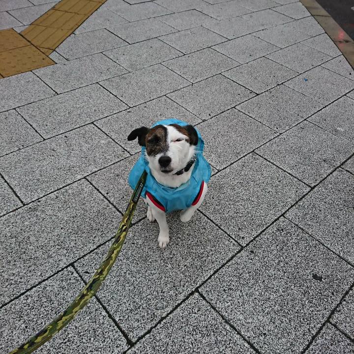 Ae474eed 1640 47e6 b75b 988d0caa9849 1524003046701