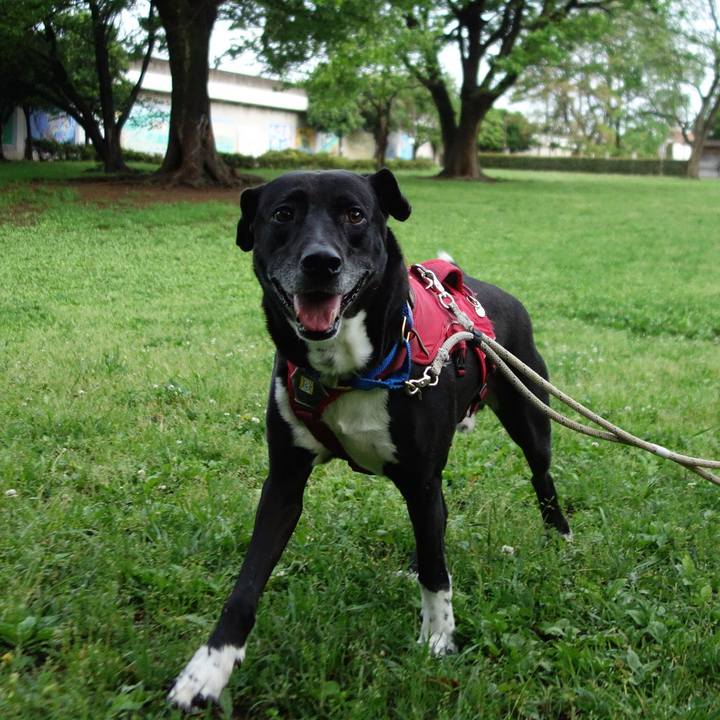 Ae474f6c ca99 472a 9348 f7975e0bfa6a 1650969899501