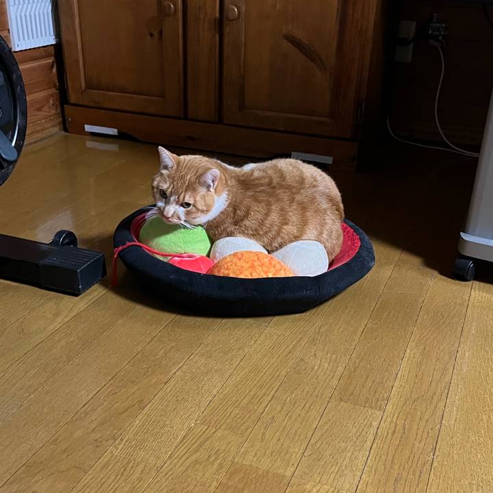 Ae47619f 5874 405a b453 53cb9348e782 1701642248772