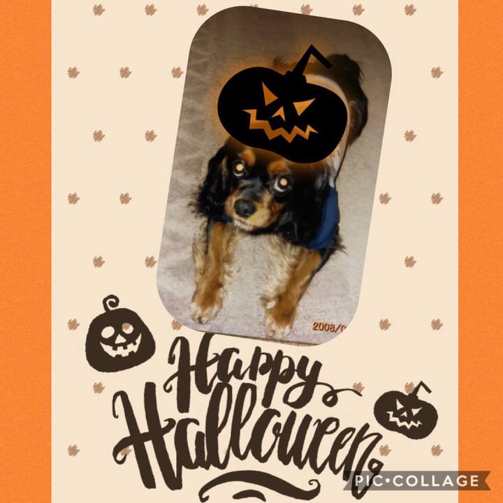 Ae47abfb 3a92 435a 82af 4b5eaee1b584 1572440680982