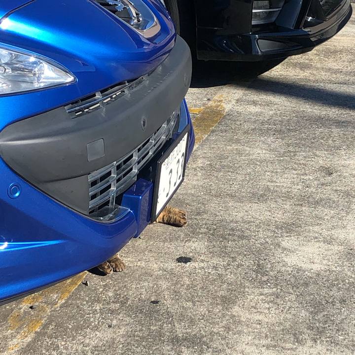 Ae47c5ee 07dd 4451 a7a3 d776a1cb6560 1614440923339