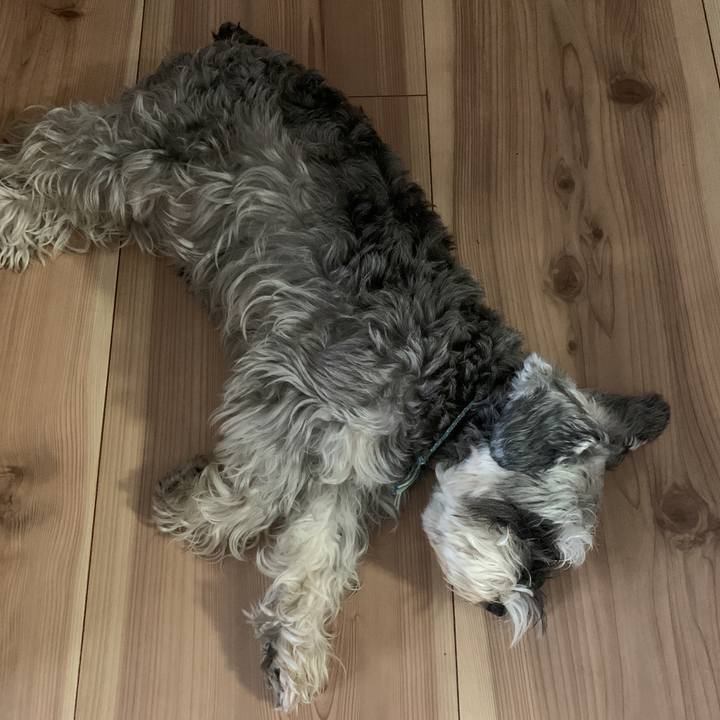 Ae47df1a 3fda 48b3 818c 92d6738cc49b 1590817044775