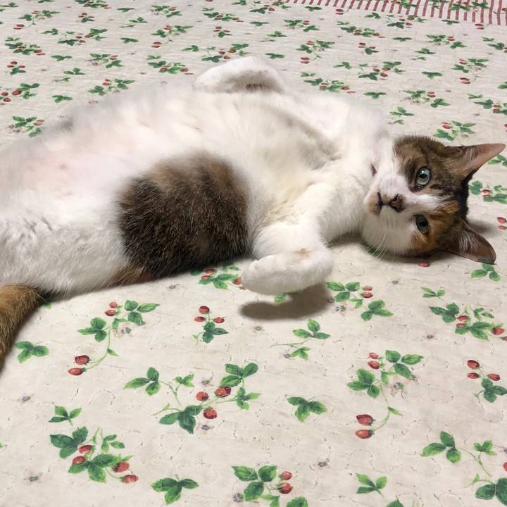 Ae4829b9 498b 4a97 a397 addb6ffaa715 1591625673820