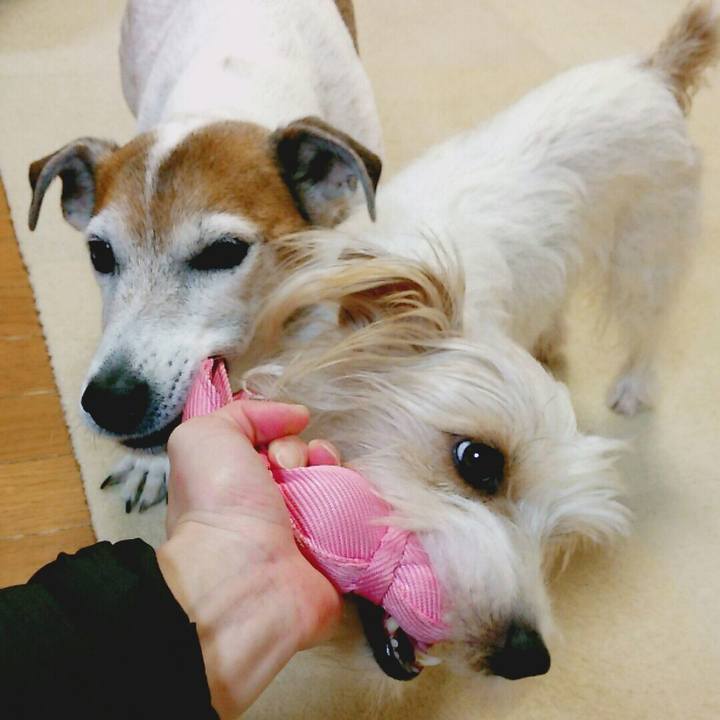 Ae482f30 8292 43cc 8604 13d3d790b62b 1517661645274