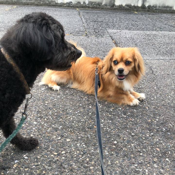 Ae483571 efd6 4196 8e73 03883f5dab1e 1534109361243