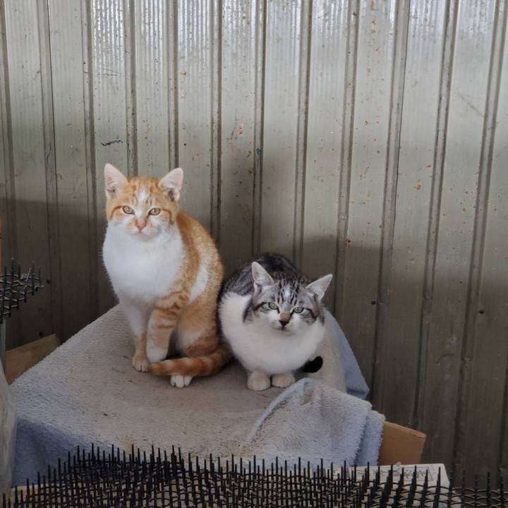 Ae48394e a2e4 48c3 80ac 2735c4b6beed 1709606213563