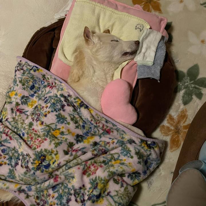 Ae483d75 1a08 497a 9199 9a26f24e3c67 1677678431888