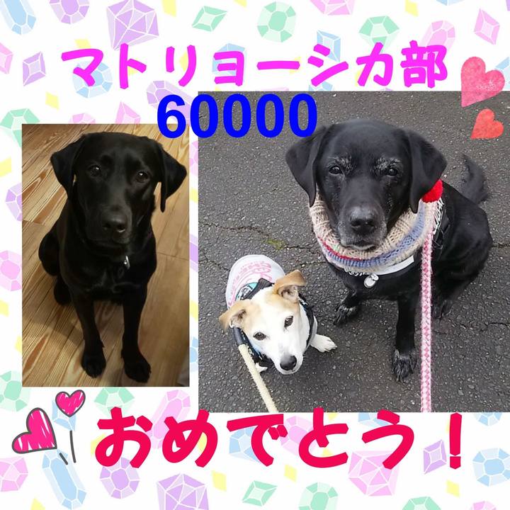 Ae4845e3 d552 4c1b 8fef 741a064792c8 1578525804651