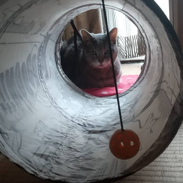 Ae488215 31fc 4841 b10e 34e2cd9088b9 1663997650956