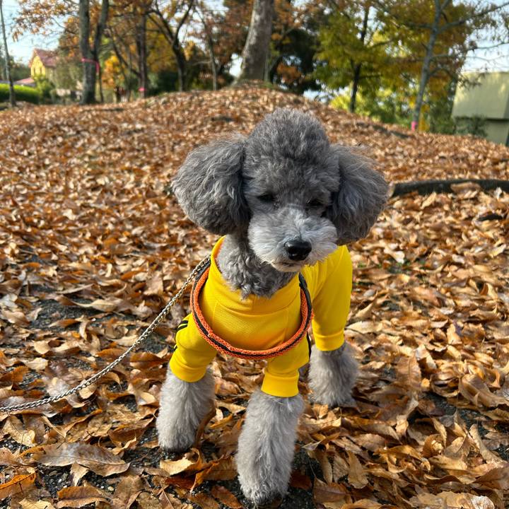 Ae48a332 857f 42a0 81b3 1267bac94964 1764122569632