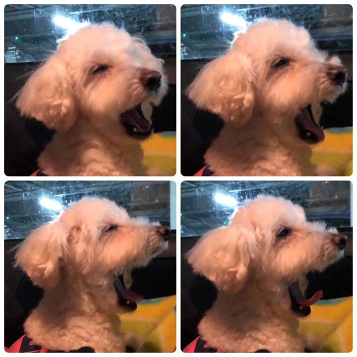 Ae48a421 8cf7 4af1 97ff c8cb42d166b8 1554331848464