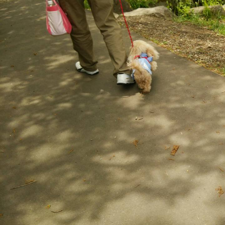 Ae48aeda adfe 421c ada1 667b4c80a0a0 1560245832280