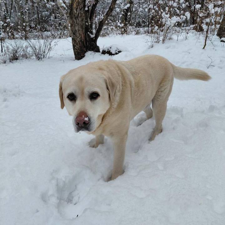 Ae48b8a1 287e 445a 86c9 4b7ab636dc4c 1772622316492