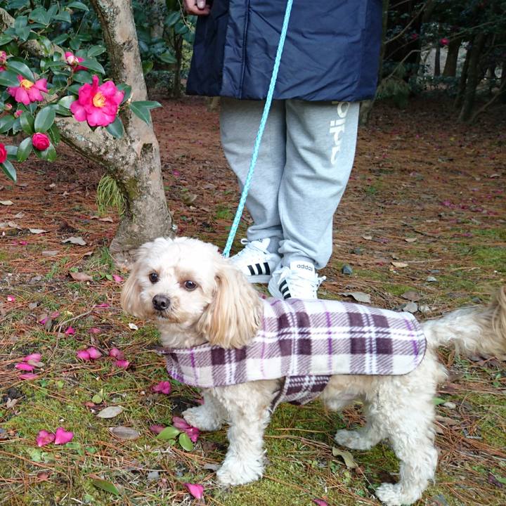 Ae48dad8 ffbc 4190 a706 f080215b5248 1515364264310