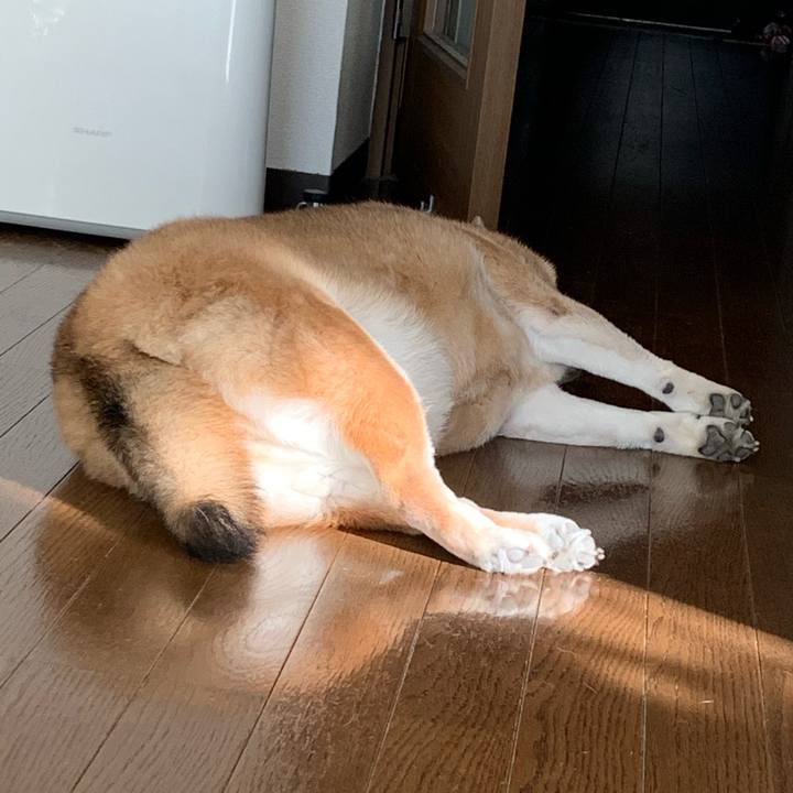 Ae48dbe9 c15f 4cb1 b553 276dddc08d71 1577854789438