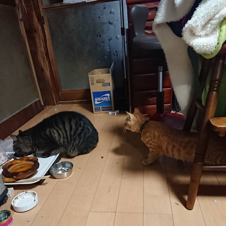 Ae48e272 04a8 4d0f a945 aa42e7e66051 1635803735858