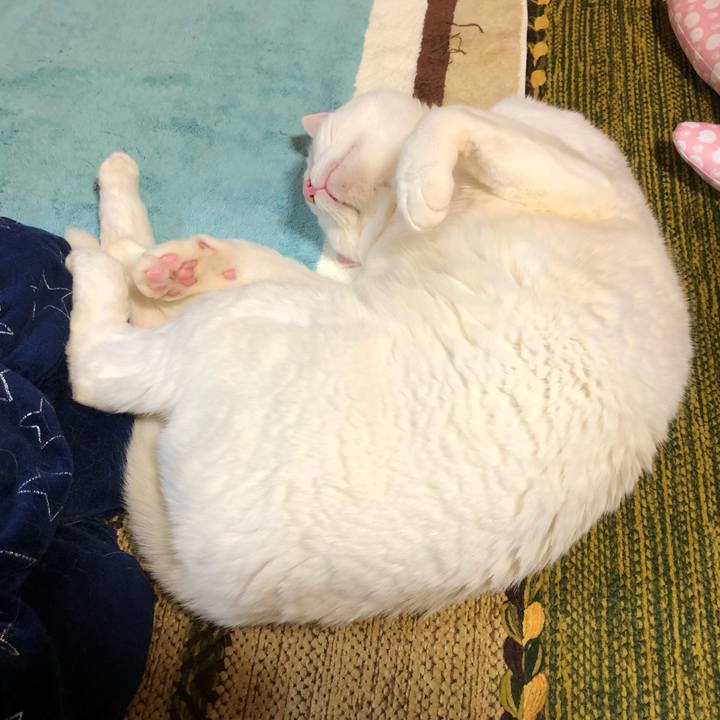 Ae491202 4746 4e03 8194 8d8a79f16740 1582542518410