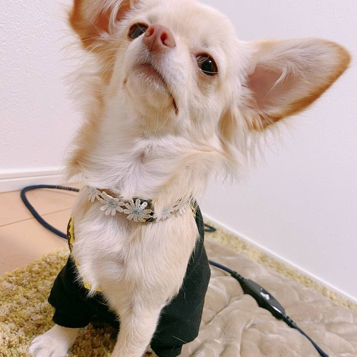 Ae492b70 469d 40d2 9c14 c01228410a8f 1609999836095