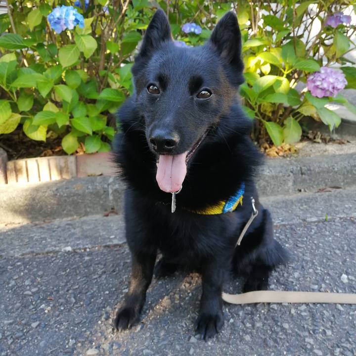 Ae493081 302d 4d1b 92f5 3b77bca50d4f 1591564609646